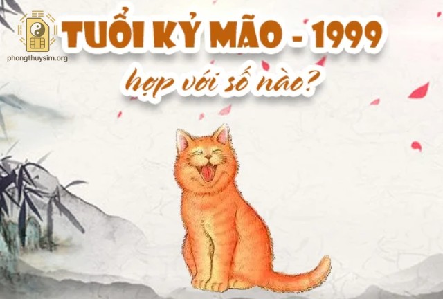 Người sinh năm 1999, tuổi Kỷ Mão, thuộc mệnh Thành Đầu Thổ