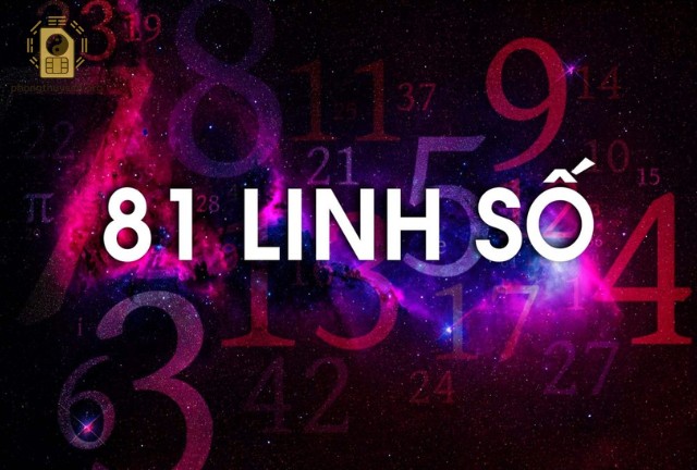 Phân Loại và Ý Nghĩa
