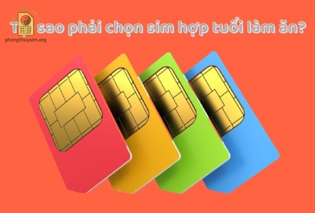 Dựa vào năm sinh, tra cứu bảng ngũ hành để biết bạn thuộc mệnh nào.