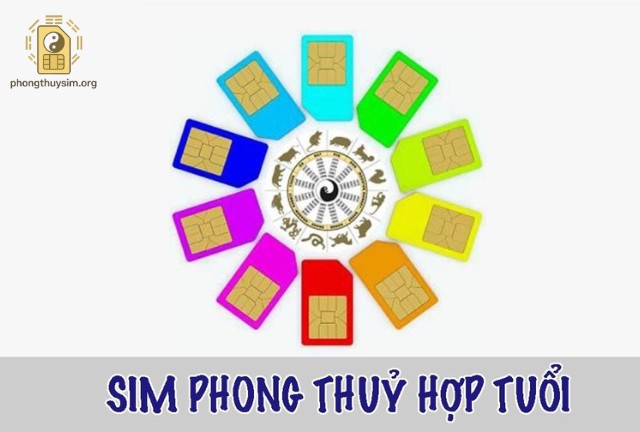 Các Yếu Tố Quan Trọng