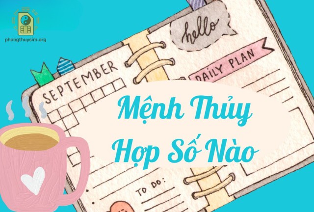 Nếu bạn không chắc chắn về cách chọn sim, hãy tìm đến các chuyên gia phong thủy để được tư vấn