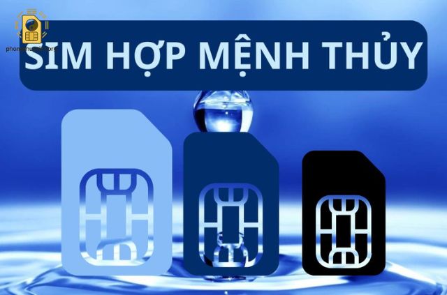Sim Hợp Mệnh Thủy 1997