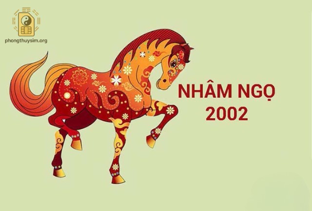Người sinh năm 2002, tức năm Nhâm Ngọ