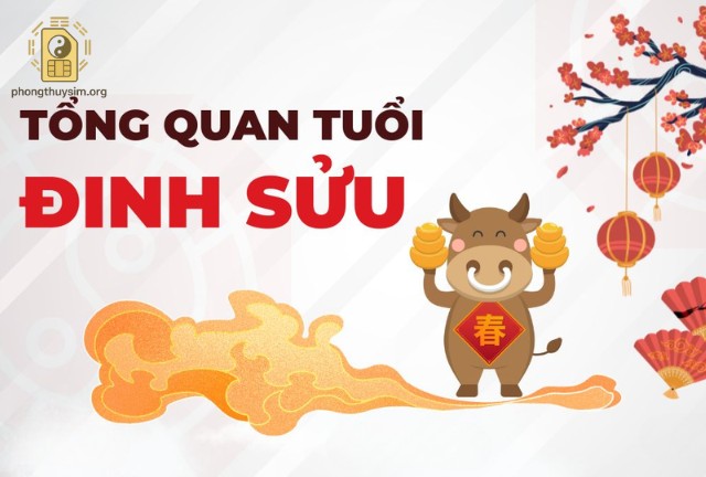 Tại Sao Sim Hợp Tuổi Đinh Sửu Lại Quan Trọng?