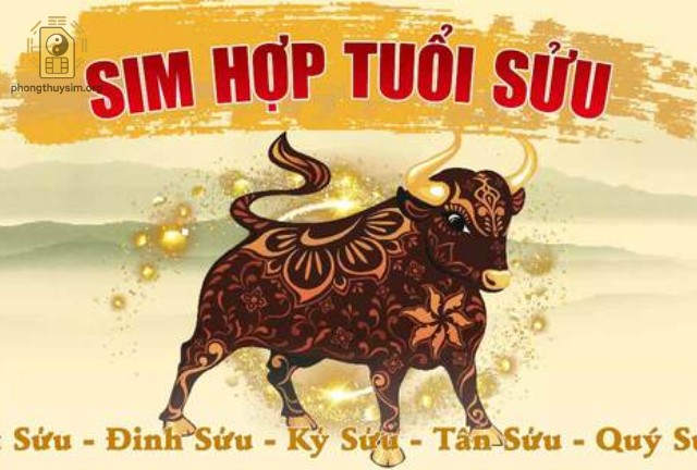 Chọn sim số đẹp không chỉ là tìm kiếm một dãy số dễ nhớ