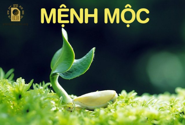 Chọn sim phong thủy mệnh Mộc