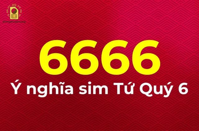 Sim Tứ Quý 6 Có Ý Nghĩa Gì?