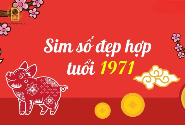 Người sinh năm 1971, tuổi Tân Hợi, thuộc mệnh Kim