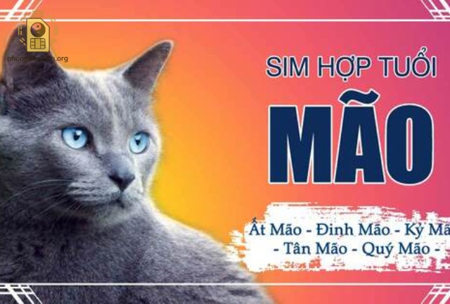 Người tuổi Đinh Mão thuộc mệnh Lư Trung Hỏa