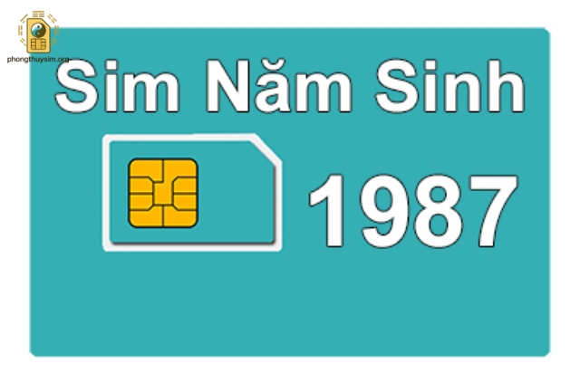 Sim phong thuỷ có thể ảnh hưởng đến vận mệnh của bạn