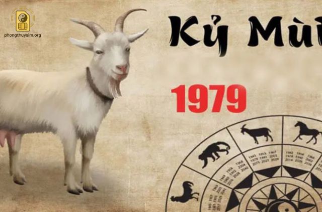 Tuổi Kỷ Mùi Hợp Với Số Điện Thoại Nào