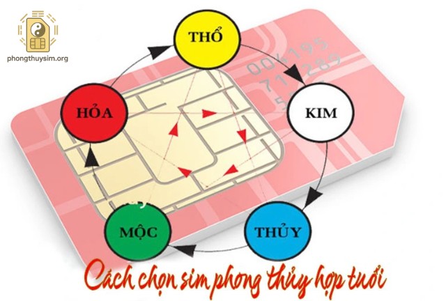 Không nên quá tin vào số đẹp